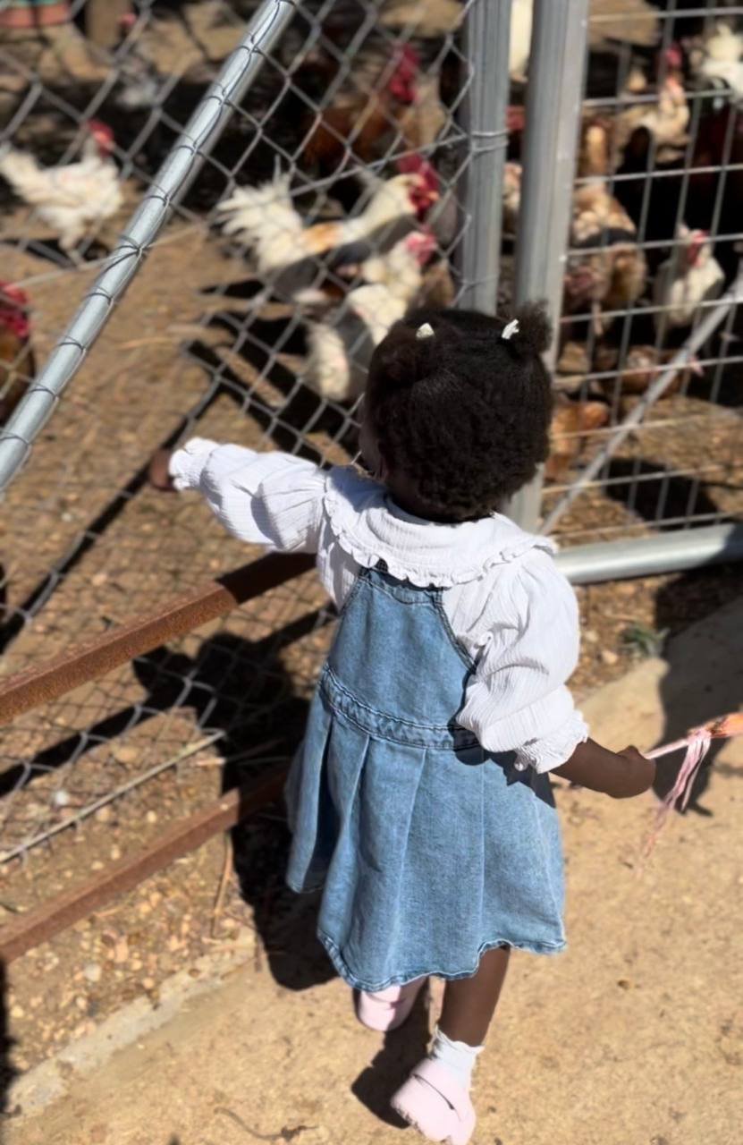 Εικόνα από τη φάρμα