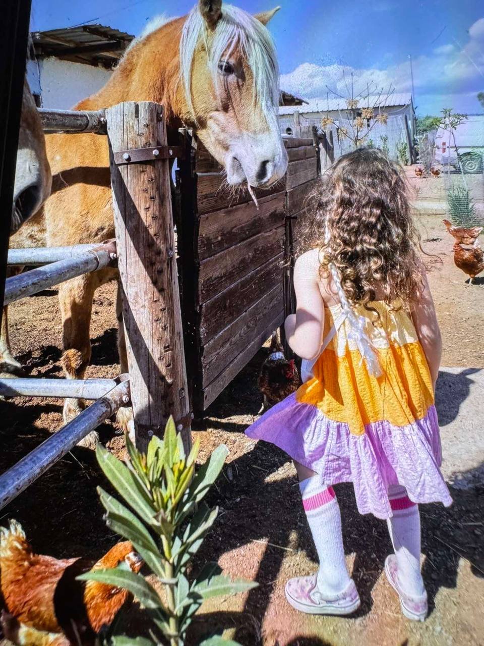 Εικόνα από τη φάρμα