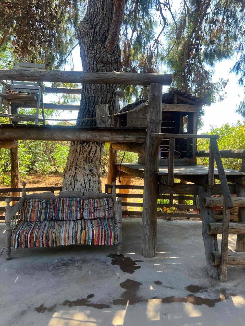 Εικόνα από τη φάρμα